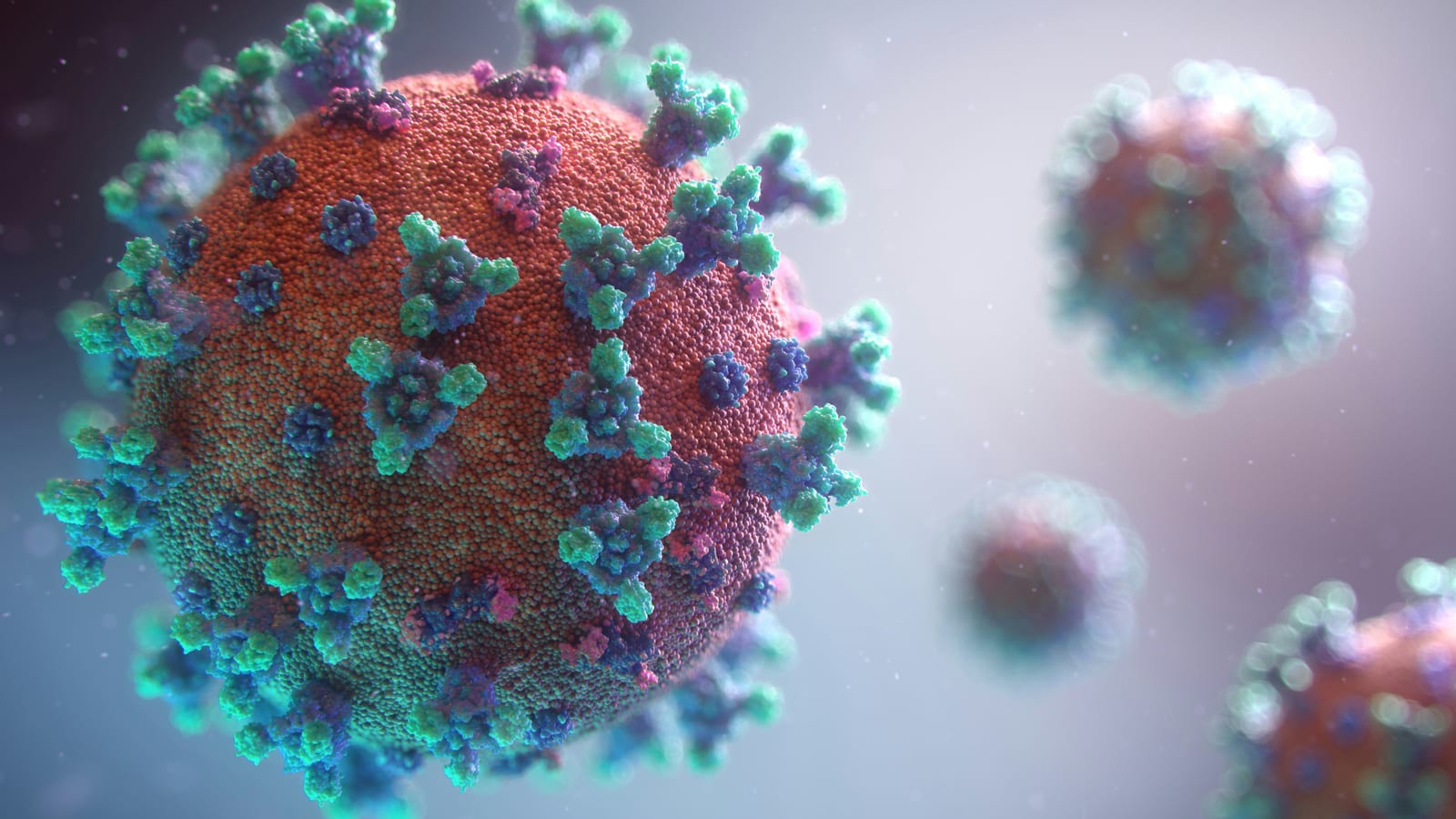 Delhi sees six-fold rise in H1N1 cases this year