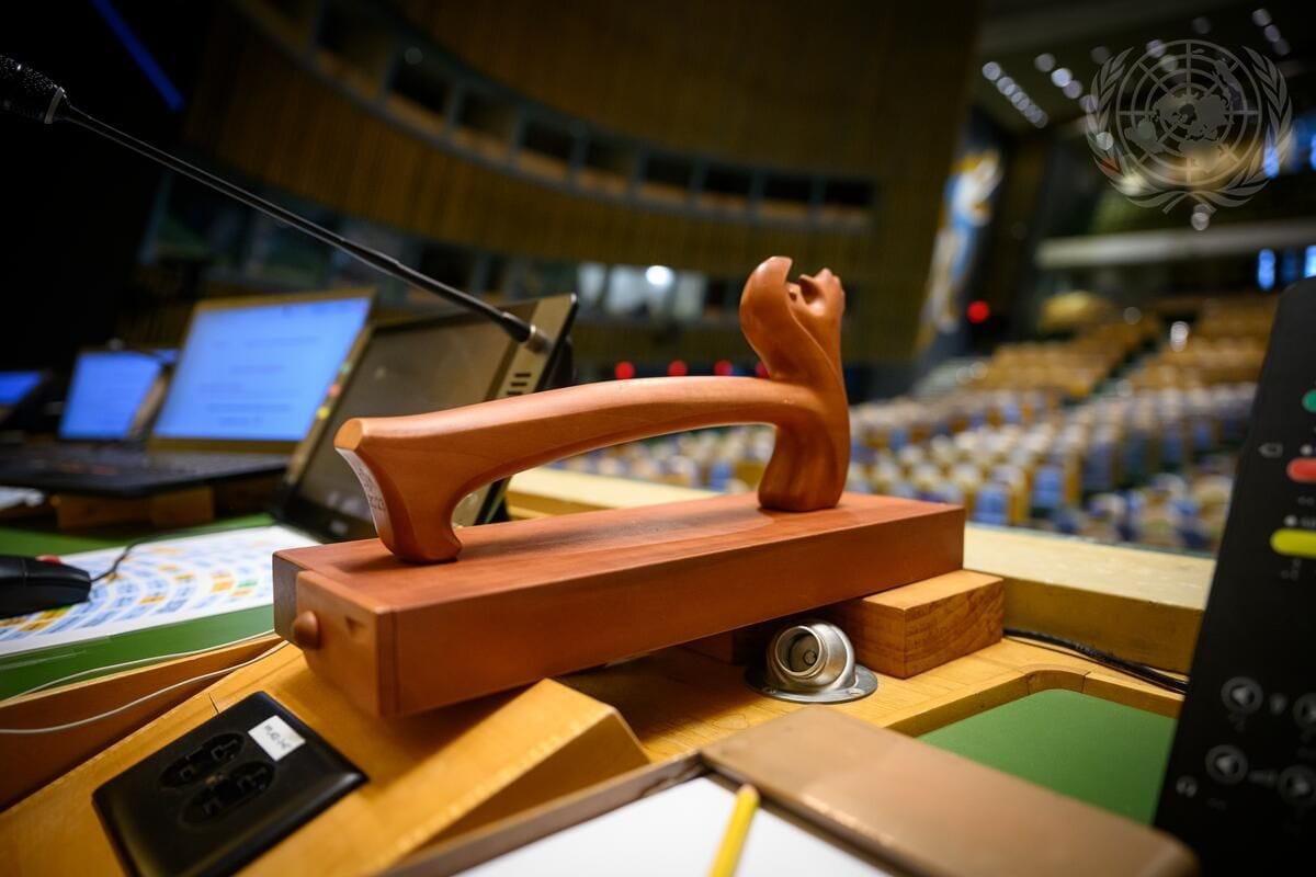 India rejects UN rapporteur’s claims on youth protests, calls report ‘hearsay’